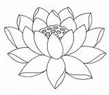 Flower Jasmine Lotus Coloring Pages Line Drawing Getdrawings sketch template
