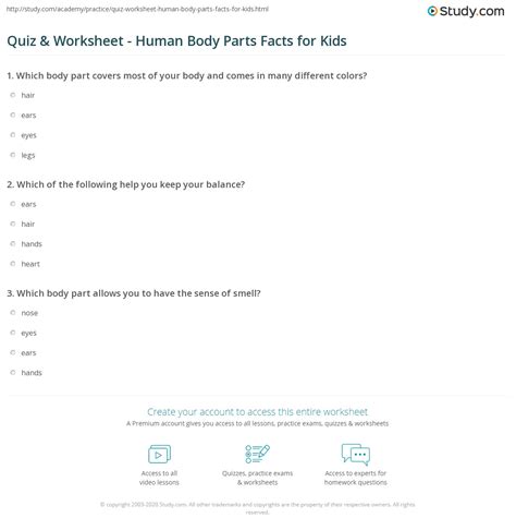 quiz worksheet human body parts facts  kids studycom