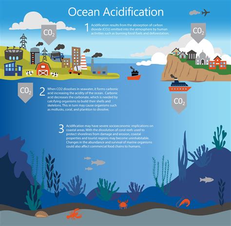 world oceans day  effects  acidification herrera