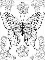 Coloring Pages Butterflies Butterfly Intricate Adult Adults Printable Colouring Omalovánky Sheets Getcolorings Kreslení Color sketch template