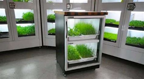 hassle  hydroponic systems urban cultivator