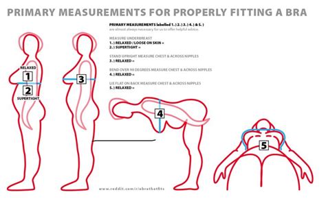 measuring   bra bra sewing sewing bras bra sizes