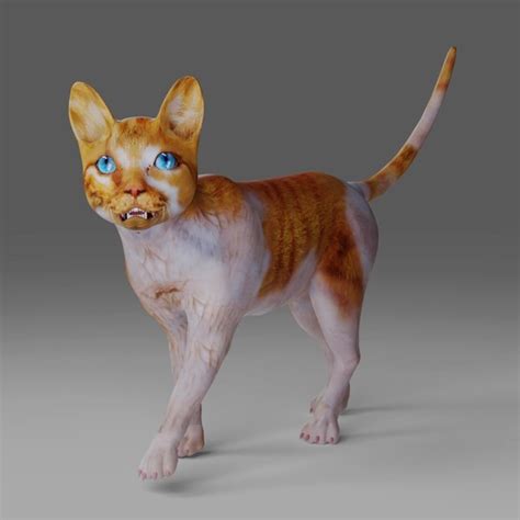 Calico Cat Rigged In Blender 3d Model Ph