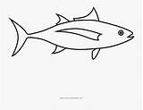 Tuna Pomacentridae Clipartkey sketch template
