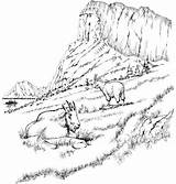 Coloring Pages Landscape Mountain Goats Adult Printable Adults Goat Mountains Rocky Realistic Scenery Coloring4free Detailed Only Landscapes Two Animal Coupons sketch template