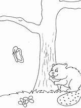 Beaver Coloring Animals Pages Kids Canada Canadian 1629 Printable Colouring Popular Library Clipart Beavers Castoro Chewing Tree sketch template