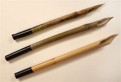 reed pens master phragmites australis arundo donax  etsy