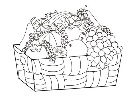printable coloring pages  fruits  vegetables