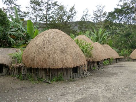 rumah adat indonesia honai papua