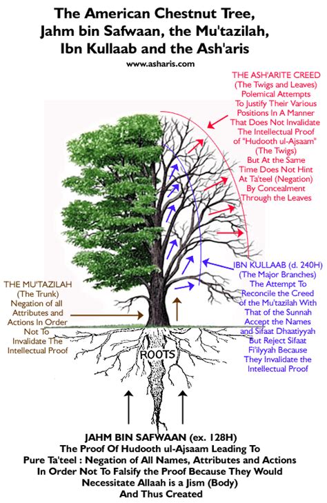 parts   tree diagram wiring diagram