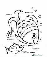 Coloring Fish Pages Kids Printable Related sketch template
