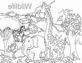 Coloring Gate Getdrawings Zoo sketch template