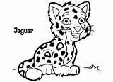 Jaguar Coloring Cartoon Drawing Pages Cheetah Easy Baby Kids Clipart Animal Outline Drawings Clip Printable Simple Head Draw Cute Clipartmag sketch template