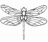 Dragonfly Drawing Coloring Pages Line Wings Drawings Kids Tattoo Designs Google Color Printable Green Colouring Large Draw Silhouette Patterns Winged sketch template