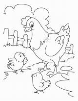Coloring Chicken Pages Printable Hen Getdrawings sketch template