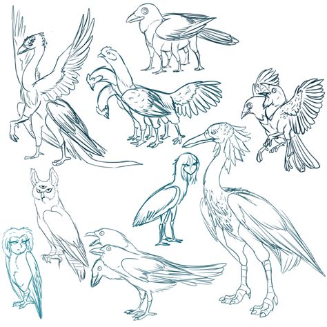mythical bird sketches  cyclone  deviantart
