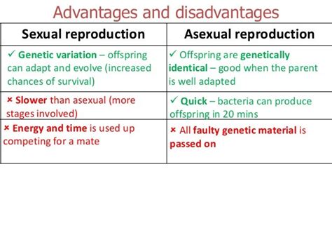 Types Of Reproduction And Cuttings