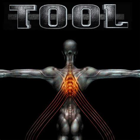 We Rank All The Discography Of Tool From Worst To Best