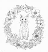 Mandala Coloring Cat Pages Animal Baby Book Cry Adult Martinez Melanie Harmony Flowers Flower Fresh Cats Adults Vase Christmas Coloringbay sketch template