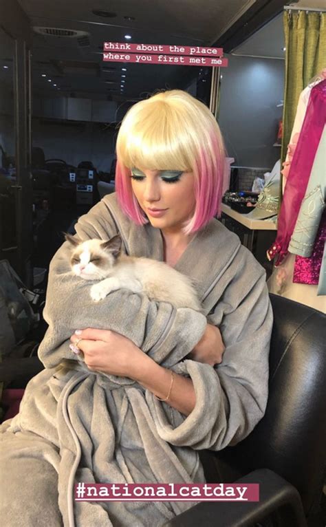 Photos From Taylor Swift S Cutest Cat Photos E Online