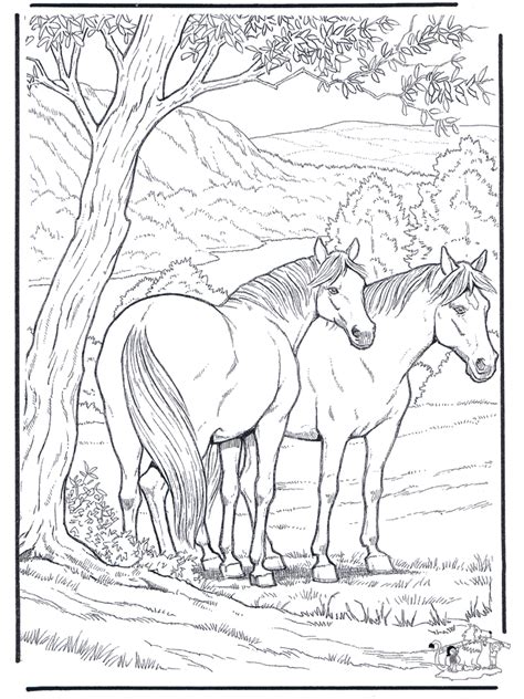 coloring pages horse horses