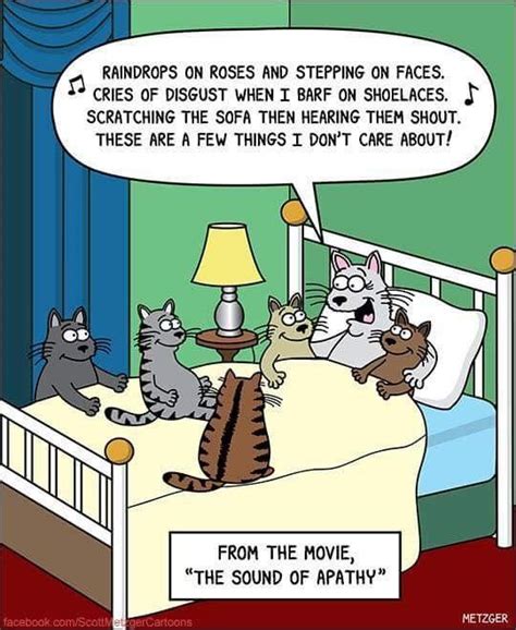 Pin By Cari Goldman On Free For All Friday Comics Cat Jokes Funny