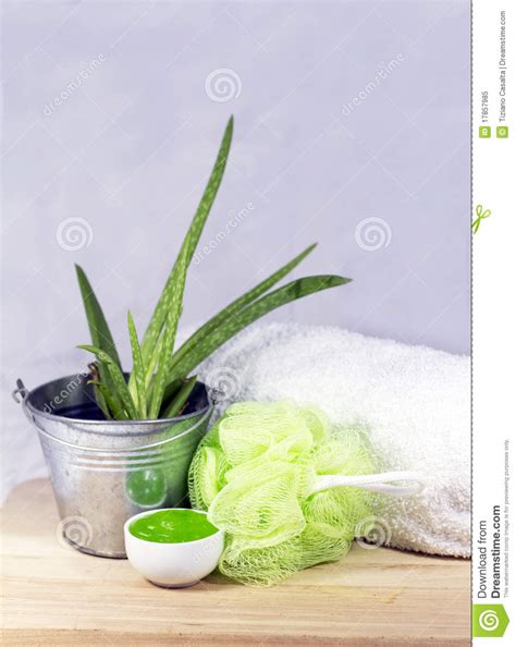 aloe spa stock image image  luxury culture flora
