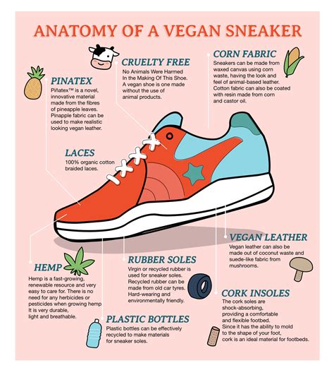 anatomy   vegan sneaker dazzling point