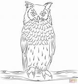 Coloring Owl Pages Eagle Birds Owls Silhouettes Ausmalbild Printable sketch template