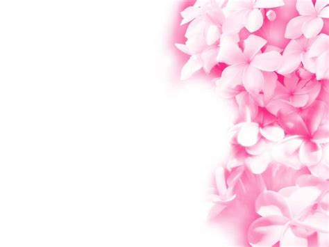 pink flowers backgrounds wallpaper cave