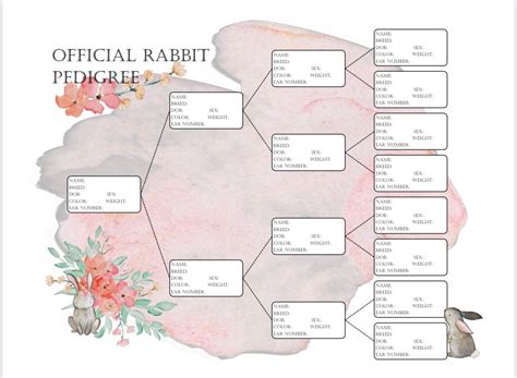 printable rabbit pedigree template ubicaciondepersonascdmxgobmx