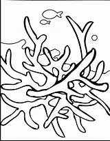 Seaweed K5worksheets Printable sketch template