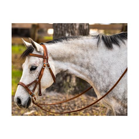 horse tacks sidepull bitless bridle  horses