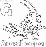 Grasshopper Coloringfolder Getdrawings sketch template