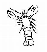 Crostacei Aragoste Animali Aragosta Crostaceo Disegnidacolorare sketch template