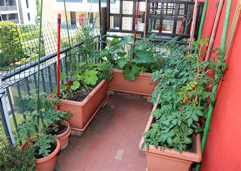 beautiful apartment balcony vegetable garden ideas balcony