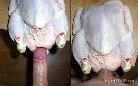 fucking a raw chicken porned up