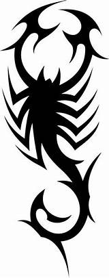 Scorpion Tattoos Tribal Tattoo Skorpion Scorpio Designs Scorpions Flash Cool Escorpion Henna Draw Stunning Pinnwand Auswählen Onlytribal Choose Board sketch template