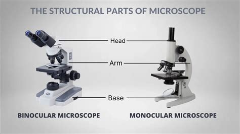 parts   microscope