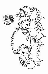 Hedgehogs Coloring Egel Fun Egels sketch template