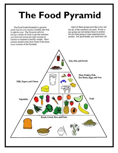 food pyramid teaching resources