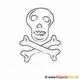 Totenkopf Ausmalbilder Malvorlage Bones Pirat Malvorlagen Malvorlagenkostenlos Titel sketch template
