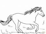 Mustang Horse Coloring Pages Horses Wild Running Print Color Beautiful Drawing Pinto sketch template