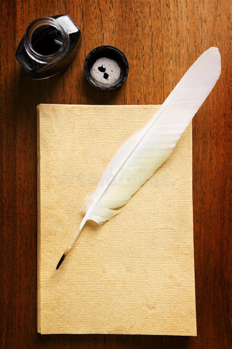 blank paper  quill  stock photo image