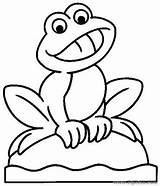 Sapo Rana Ranas Sapos Pintar Frog Acuaticos Fofo Anfibios Acuáticos Marinos Animais Escuelaenlanube Saltando Blanco Sapitos Rene Nube Acuatico Branco sketch template