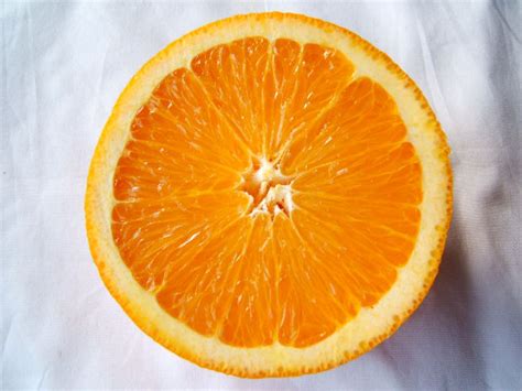 manfaat buah jeruk bagi kesehatan lifestyle news