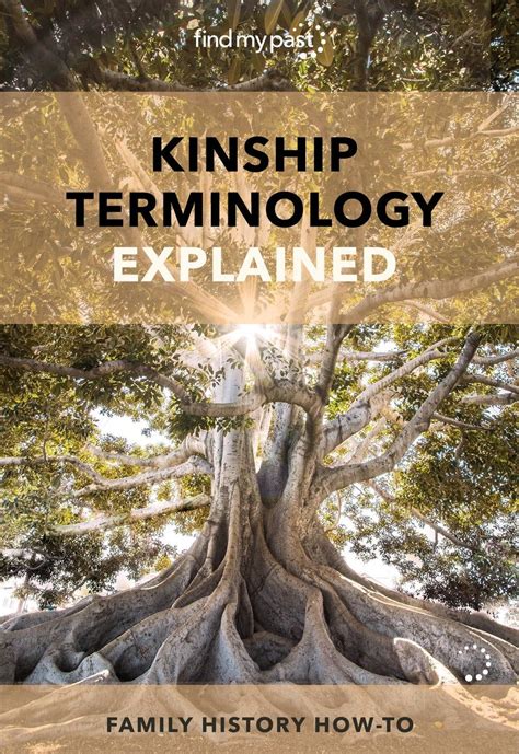 kinship terminology explained       call distant