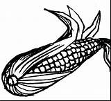 Corn Coloring Pages Candy Getcolorings sketch template
