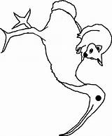 Ibis Coloring Color Pages Animal Animals Print Back sketch template