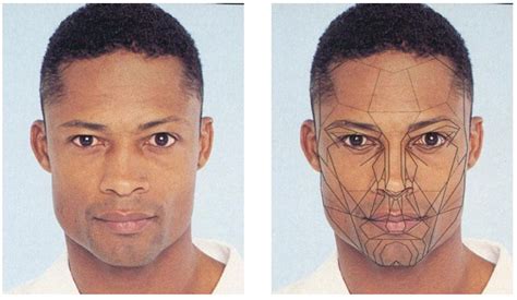 Face Variations By Sex Marquardt Beauty Analysis